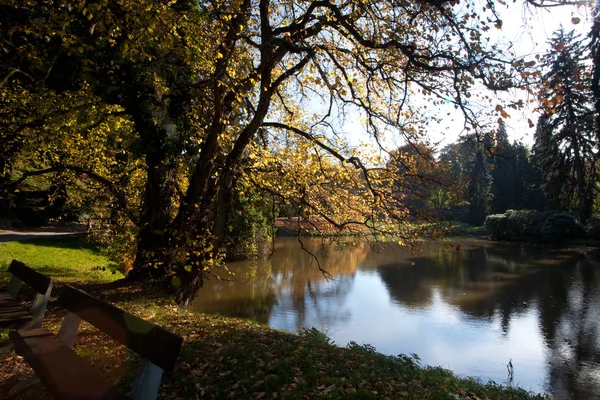 다채로운 나무와 연못을 아름 다운가 풍경 — 스톡 사진