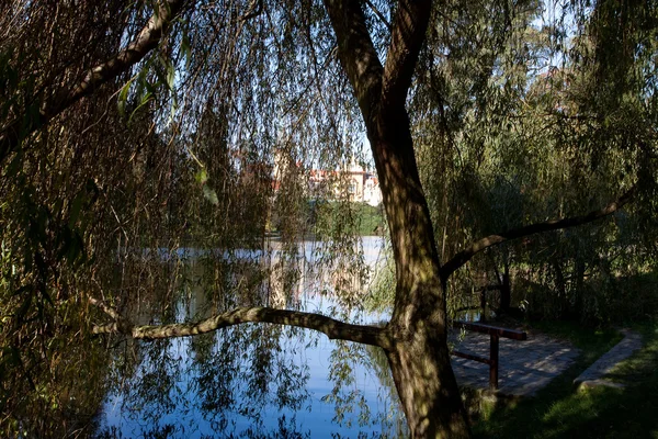 Όμορφο φθινόπωρο τοπίο με πολύχρωμο δέντρα, μια λίμνη και ένα med — Φωτογραφία Αρχείου