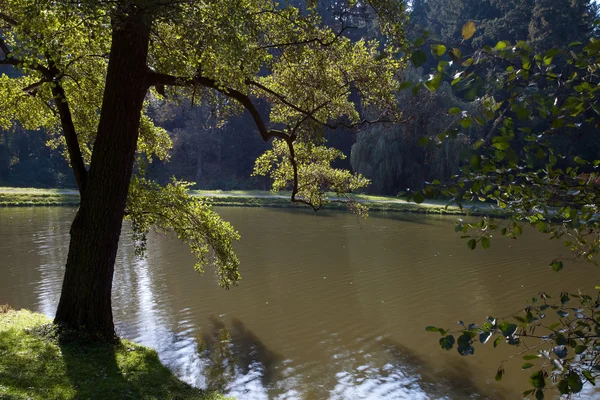 Hermoso paisaje otoñal con árboles coloridos y un estanque — Foto de Stock