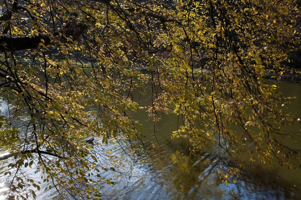 Mooie herfst landschap met kleurrijke bomen en een vijver — Stockfoto