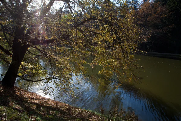 Schöne Herbstlandschaft mit bunten Bäumen und einem Teich — Stockfoto