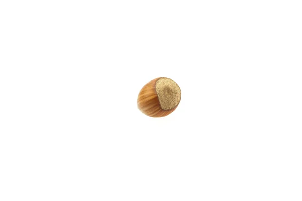Орехи, изолированные на белом — стоковое фото