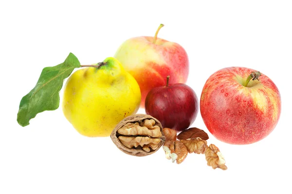Elma, ayva ve ceviz beyaz izole — Stok fotoğraf