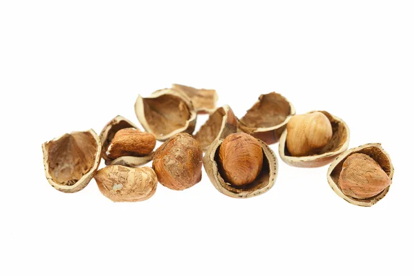 Hazelnuts isolated on white — Stock Photo, Image