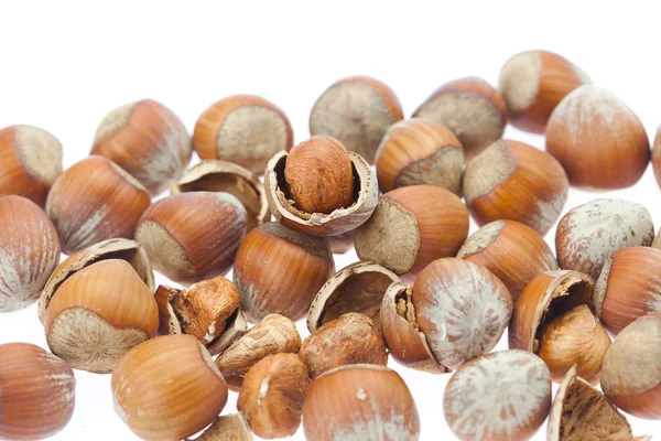 Hazelnuts isolated on white Stock Image