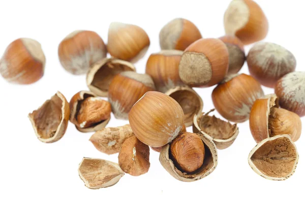 Lískové ořechy izolované na bílém — Stock fotografie