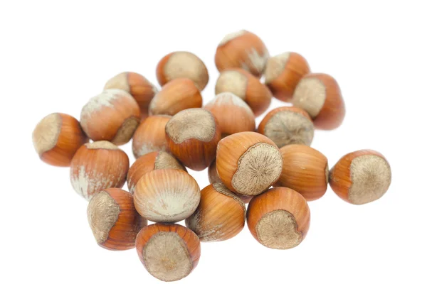 Hazelnuts isolated on white — Stock Photo, Image