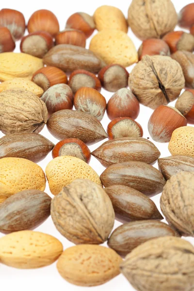 Fond de différents types de noix — Photo