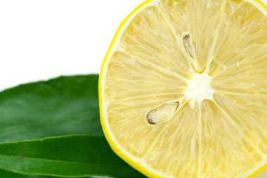 yeşil yaprak üzerinde beyaz izole limon