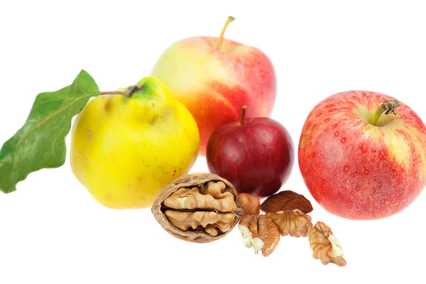 Jablka, kdoule a ořech izolovaných na bílém — Stock fotografie