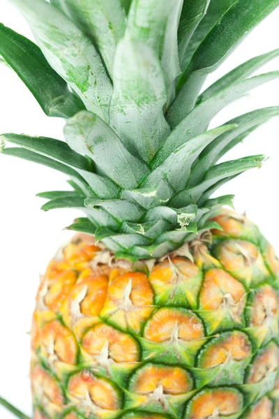 Fehér alapon izolált ananász — Stock Fotó