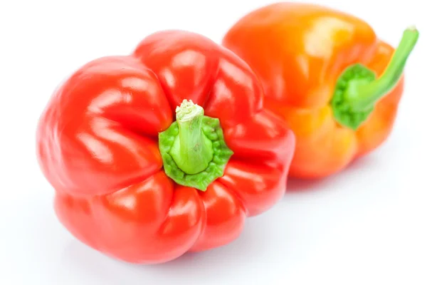 Red pepper isolated on white — Stock Photo, Image