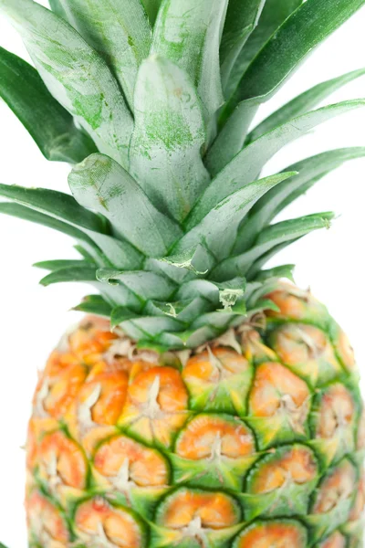 Ananas isolerad på vit — Stockfoto