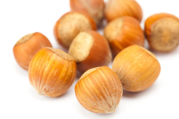 Lískové ořechy izolované na bílém — Stock fotografie