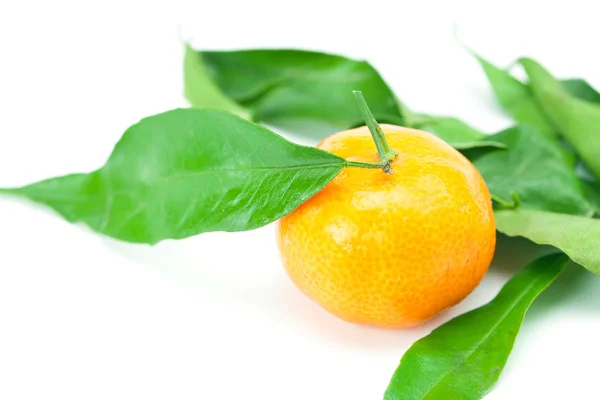 Mandarine mit grünen Blättern isoliert auf weiß — Stockfoto