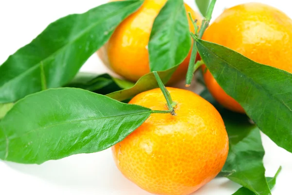 Mandarina con hojas verdes aisladas en blanco —  Fotos de Stock