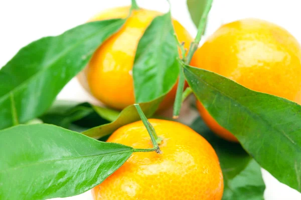 Mandarijn met groene bladeren geïsoleerd op wit — Stockfoto