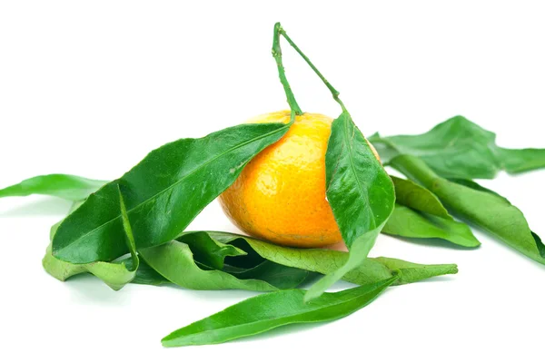 Mandarina con hojas verdes aisladas en blanco — Foto de Stock