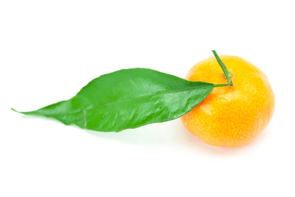 Mandarino con foglie verdi isolate su bianco — Foto Stock
