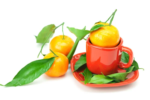 Mandarin with green leaves in a cup isolated on white — Stock Photo, Image