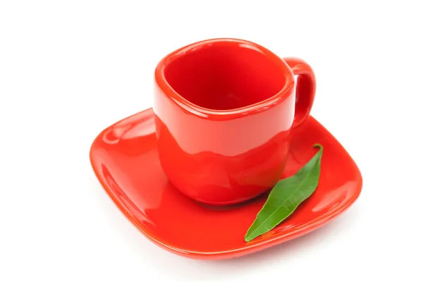 Foglia verde nella tazza è isolato su un bianco — Foto Stock