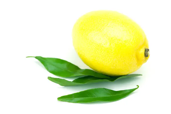 Лимон з зеленим листом ізольований на білому — стокове фото