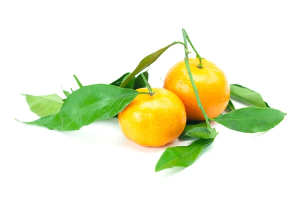 Mandarina con hojas verdes aisladas en blanco —  Fotos de Stock