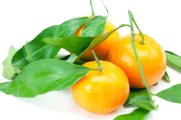Mandarino con foglie verdi isolate su bianco — Foto Stock