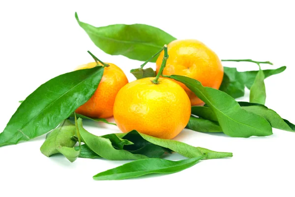 Mandarin with green leaves isolated on white — Stock Photo, Image
