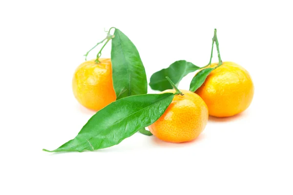 Mandarine aux feuilles vertes isolées sur blanc — Photo
