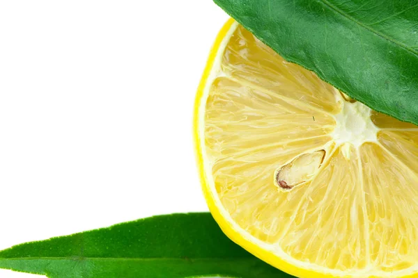 柠檬与绿叶上白色隔离 — 图库照片