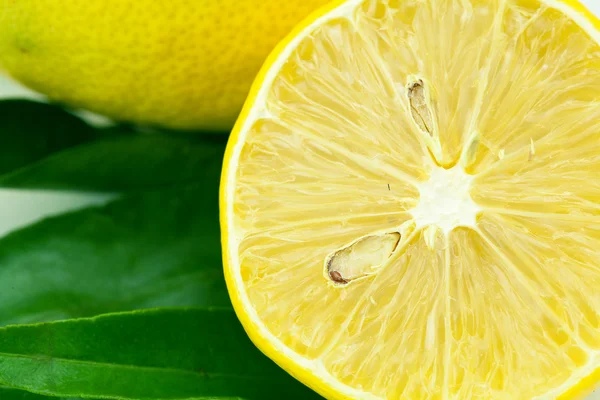 Лимон с зеленым листом, изолированным на белом — стоковое фото
