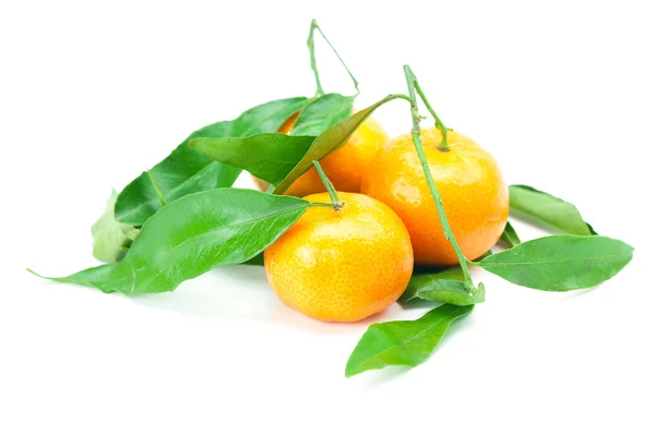 Mandarin med gröna blad isolerad på vit — Stockfoto