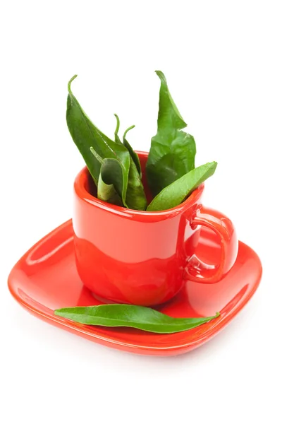 Green leaf in the cup is isolated on a white — Stock Photo, Image