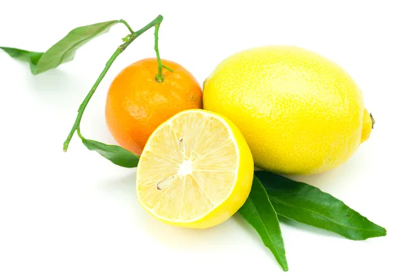 Limão e tangerina com folhas verdes isoladas em branco — Fotografia de Stock