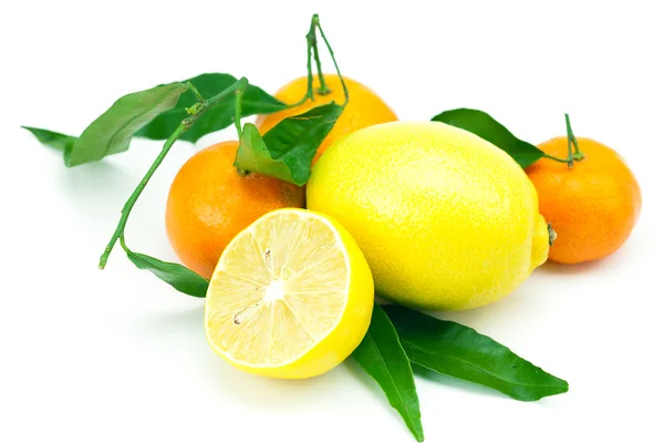 Zitrone und Mandarine mit grünen Blättern isoliert auf weiß — Stockfoto