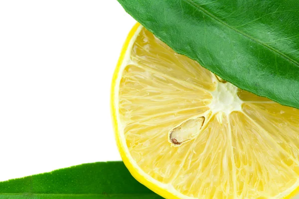 白で隔離される緑の葉でレモン — ストック写真