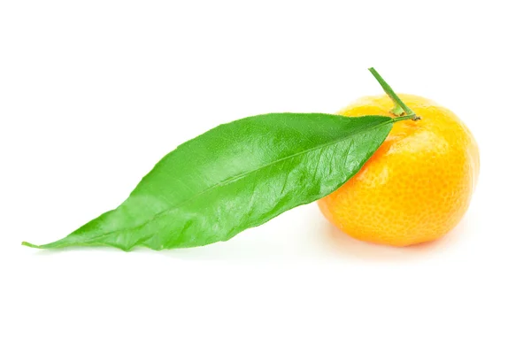 Mandarine aux feuilles vertes isolées sur blanc — Photo