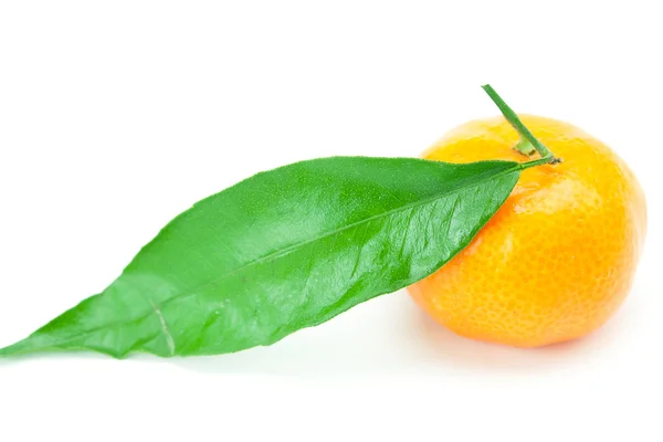 Mandarina con hojas verdes aisladas en blanco — Foto de Stock