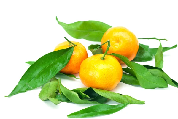 Mandarin üzerinde beyaz izole yeşil yaprakları ile — Stok fotoğraf