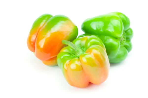 Veelkleurige paprika's geïsoleerd op wit — Stockfoto