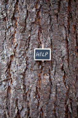 arka plan ağaç kabuğu ve yazıt yardımı ile yazı tahtası