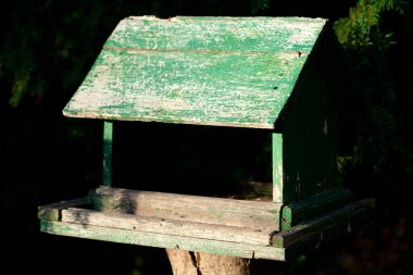 Old big birdhouse standing in autumn forest clipart