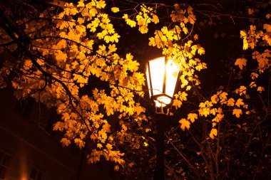 Prag sokakta güzel gece görünümü