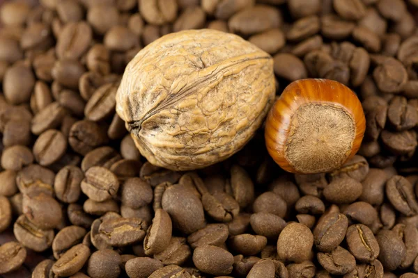 Achtergrond van de koffiebonen, hazelnoten en walnoten — Stockfoto