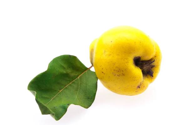 Yellow quinces with green leaf isolated on white — Stock Photo, Image
