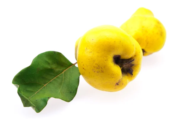 Yellow quinces with green leaf isolated on white — Stock Photo, Image