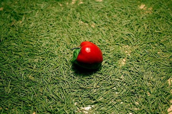 stock image Background of the Christmas tree needles and apples lying on the