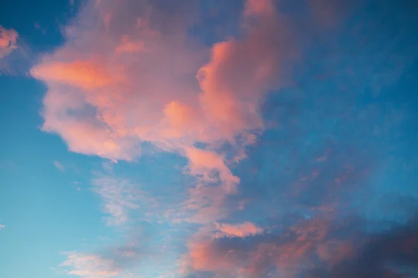 Background from the evening sky and pink clouds — Stock Photo, Image