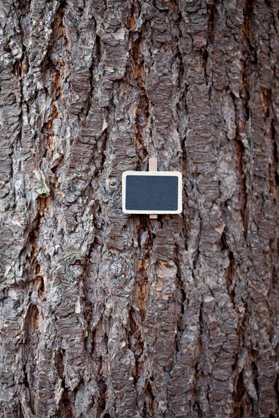 Background of tree bark and blackboard — Stock Photo, Image